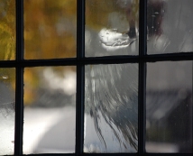 Old Window Panes